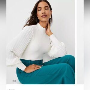 Pleated Sleeve Sweater